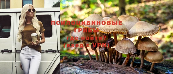тгк Горнозаводск