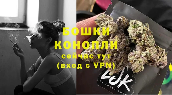 тгк Горнозаводск