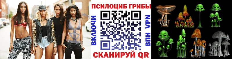 где продают   Южно-Сахалинск  Галлюциногенные грибы Cubensis 